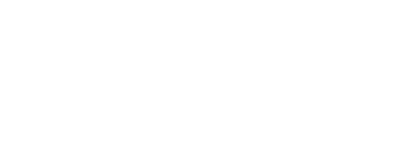 Fizmo FX Markets